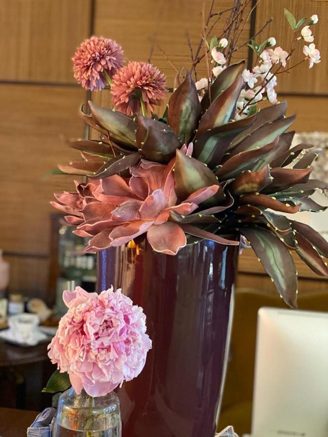 Hotel Spring ريميني المظهر الخارجي الصورة